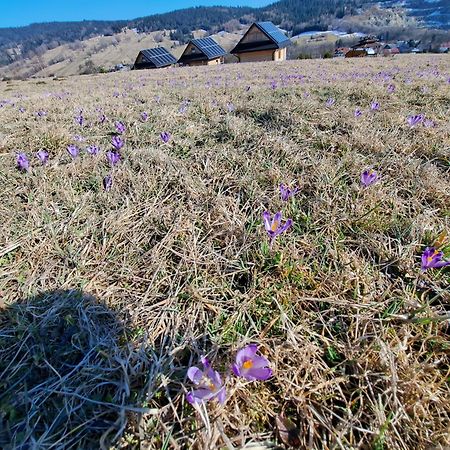 Domki Gorce Klikuszowa Sauna Jacuzzi エクステリア 写真